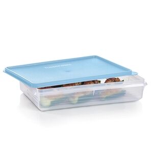 Tupperware Blue Food Storage Container
